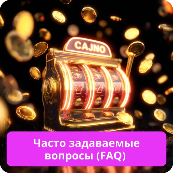 Часто задаваемые вопросы (FAQ)
